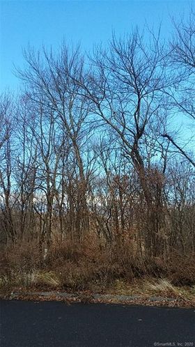 2G Country Garden Court, Plymouth, CT 06782